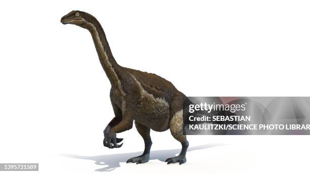 Therizinosaurus Illustration High-Res Vector Graphic
