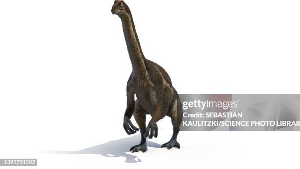 therizinosaurus, illustration - therizinosaurus stock illustrations