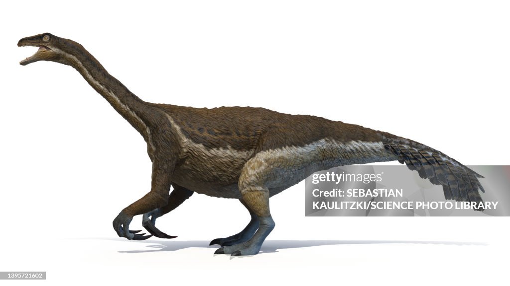 Therizinosaurus, illustration