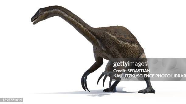 therizinosaurus, illustration - therizinosaur stock illustrations