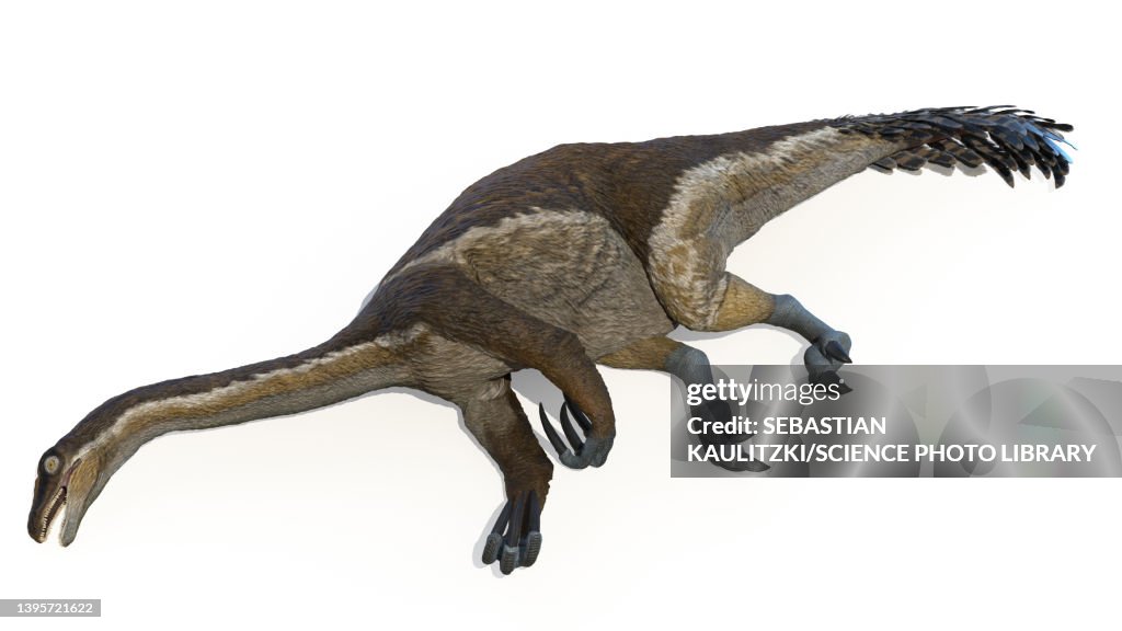 Therizinosaurus, illustration