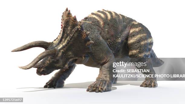 416点のトリケラトプスイラスト素材 Getty Images 416点のトリケラトプスイラスト素材 Getty Images