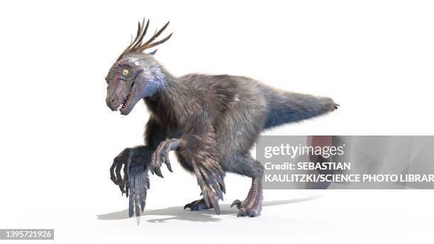 stockillustraties, clipart, cartoons en iconen met velociraptor, illustration - velociraptor