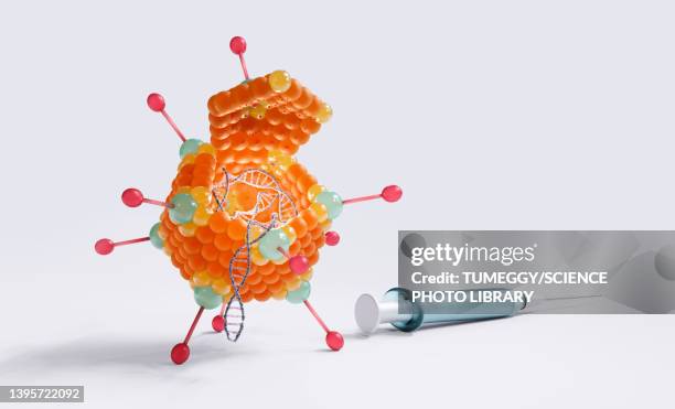 ilustrações de stock, clip art, desenhos animados e ícones de adenovirus as a viral vector, illustration - adenovírus