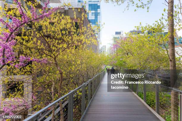 the high line, new york city, usa - high line stock pictures, royalty-free photos & images