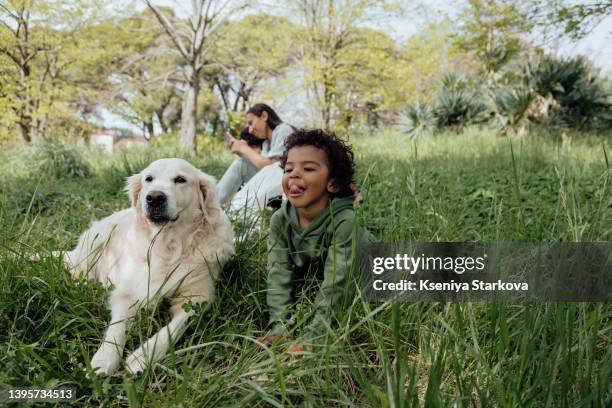 a young asian woman and her two little dark-skinned sons with an afro haircut in a walk in a green meadow with a white golden retriever dog - family with pet stock pictures, royalty-free photos & images