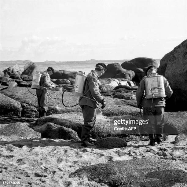 Soldiers clean up oil slick, on May 05, 1967 near the beach of Perros-Guirec as the Torrey Canyon disaster is coming on the coast of French Britanny....