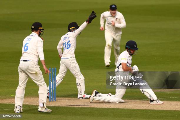 Sussex celebrate as Mason Crane bowls out Max Holden of Middlesex during the LV= Insurance County Championship match between Sussex and Middlesex at...