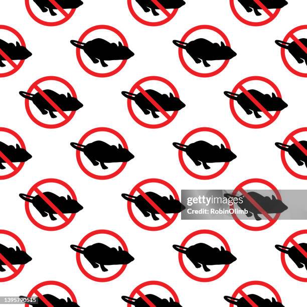 no symbol rat seamless pattern - black and white warbler stock illustrations