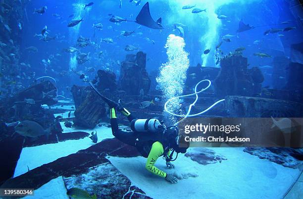 Diver 'hoovers' the giant tank at Atlantis the Palm Hotel of fish deposits on February 23, 2012 in Dubai, United Arab Emirates. The 11-million litre...