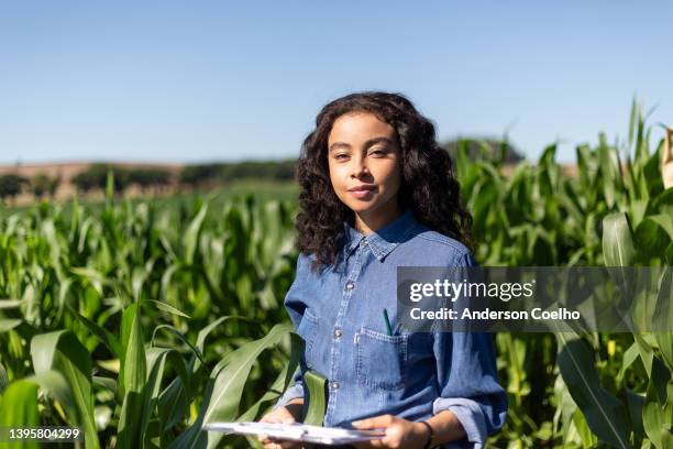 トウモロコシ畑の葉を分析する若い黒人女性エンジニア - women in country ストックフォトと画像