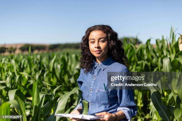 young black woman engineer analyzing leaves in cornfield - young farmer stock pictures, royalty-free photos & images