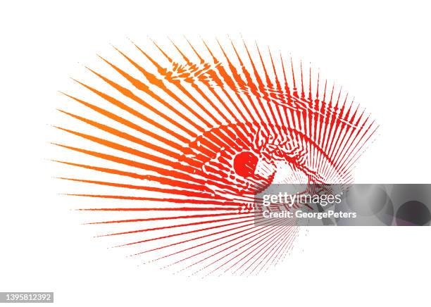 security eye scan - network security operations stock illustrations