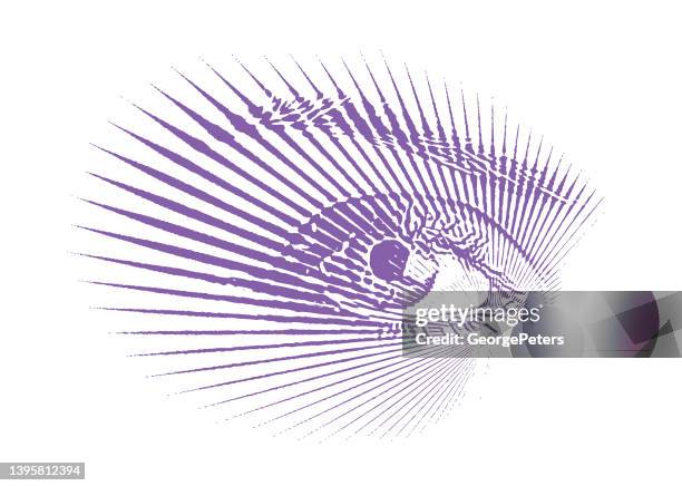 security eye scan - network security operations stock illustrations