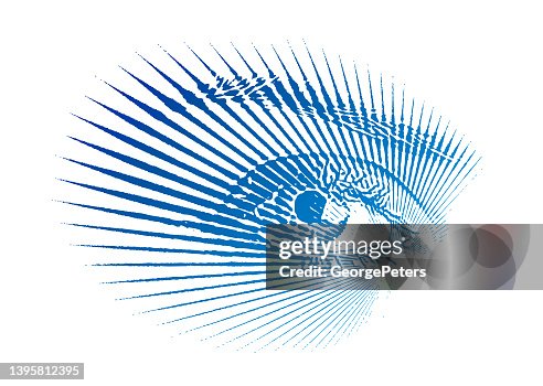 Security Eye Scan Security Eye Scan
