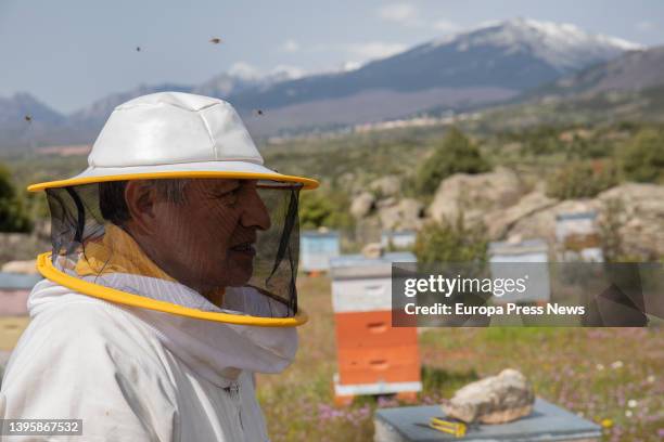 Jose, the owner of 'La Abeja Viajera' with the bee protective suit, on 29 April, 2022 in Navalafuente, Madrid, Spain. Jose learned the trade from his...