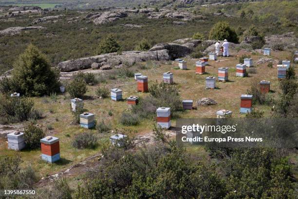 General view of the hives of 'La Abeja Viajera', on 29 April, 2022 in Navalafuente, Madrid, Spain. 'La Abeja Viajera' is a beekeeping company...