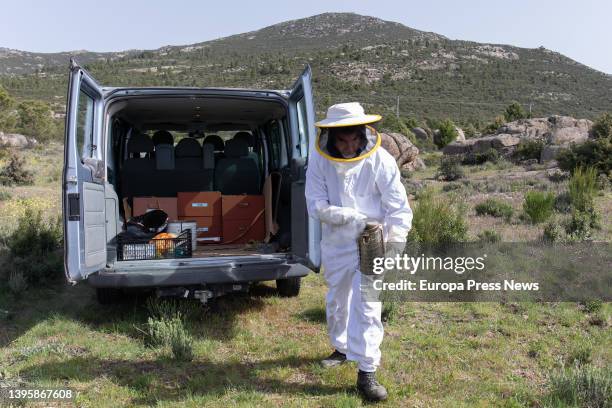 Jose, the owner of 'La Abeja Viajera' works in one of the apiaries, on 29 April, 2022 in Navalafuente, Madrid, Spain. 'La Abeja Viajera' is a...