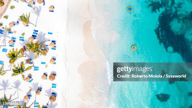 palm fringed beach with sunshades, overhead view - antigua and barbuda foto e immagini stock