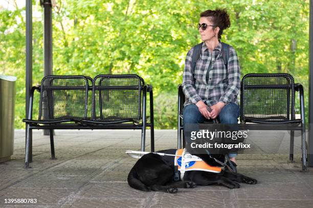 blind woman and her seeing eye dog wait for the train - guide dog bildbanksfoton och bilder