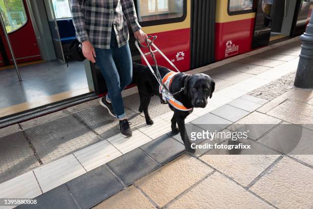 Un chien d’assistance guide une femme aveugle hors de la porte d’un train