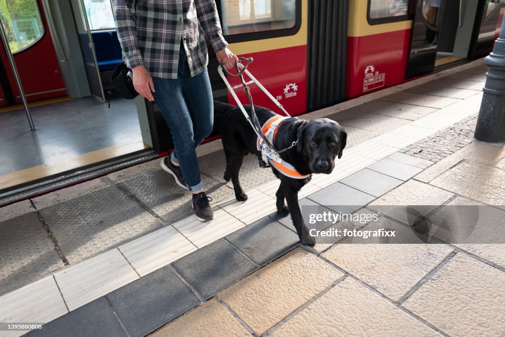 Assistance dog guides a blind woman out of the door of a train