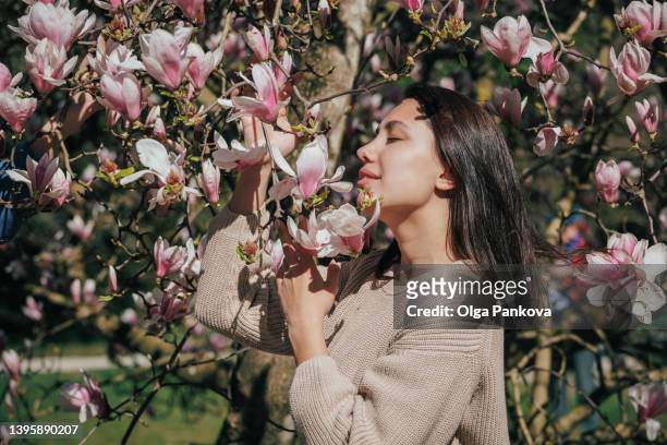 young woman dressed in a knitted sweater enjoys a walk in a blooming garden. magnolia tree. - tulpenboom stockfoto's en -beelden