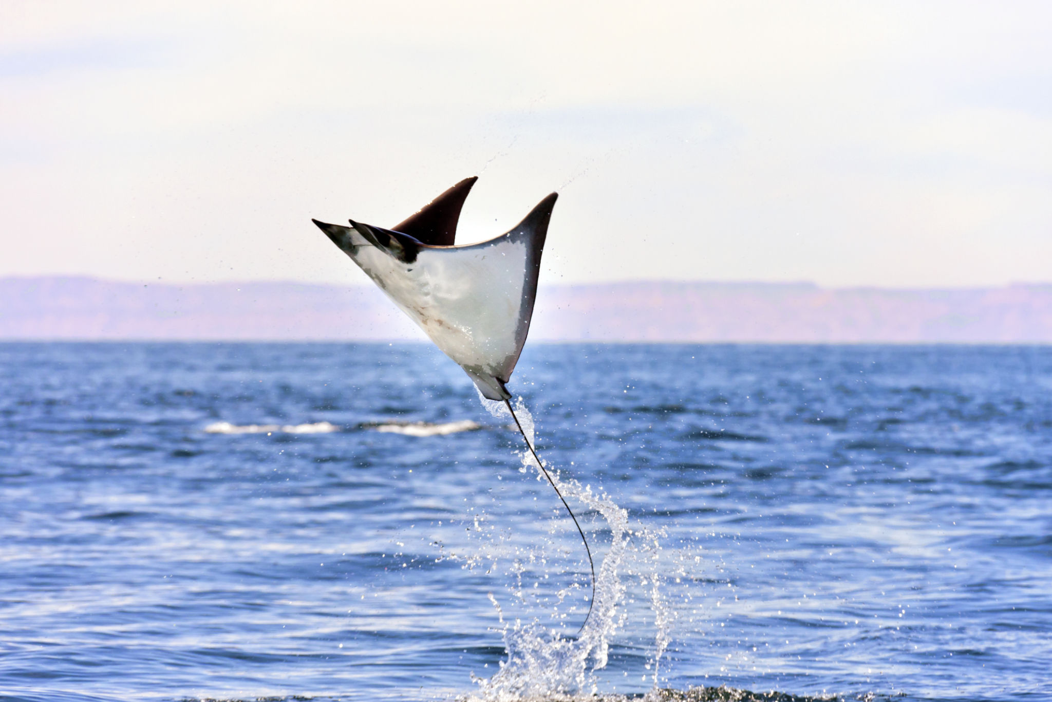 espiritu santo island