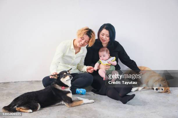 studio portrait of lgbtqia+ couple - baby and dog on white stock-fotos und bilder