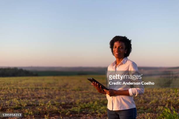 portrait of a black woman in a plantation at a sunset - agronomist stock pictures, royalty-free photos & images