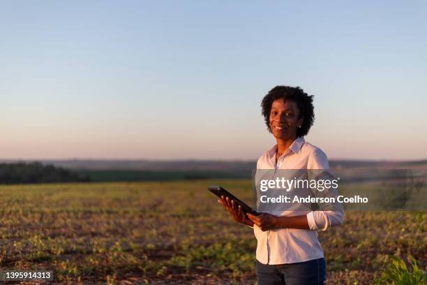 retrato de uma mulher negra em uma plantação ao pôr do sol - agronomist - fotografias e filmes do acervo