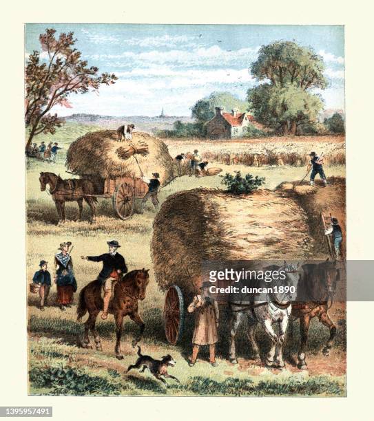 viktorianische landwirtschaft landwirtschaftsszene, ernte, verladen von heu, weizen, auf wagen auf einem landwirtschaftlichen feld, 1880er jahre, viktorianisches 19. jahrhundert - hay stock-grafiken, -clipart, -cartoons und -symbole