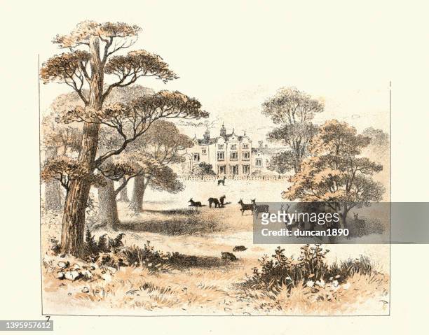 deer roaming through a park at an english country estate, victorian 19th century - 平板印 幅插畫檔、美工圖案、卡通及圖標