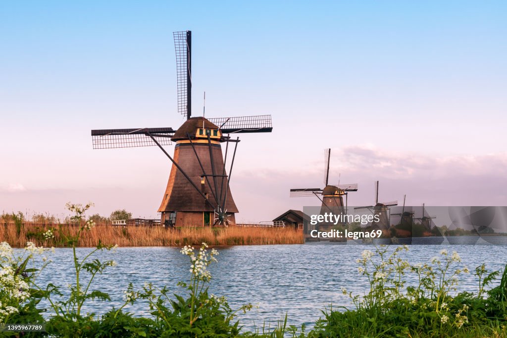 Sunset on traditional Dutch windmills, at Kinderdijk