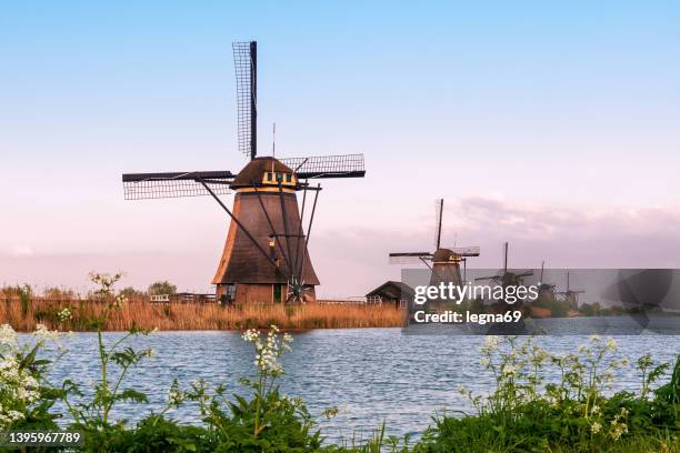 sunset on traditional dutch windmills, at kinderdijk - kinderdijk stock pictures, royalty-free photos & images