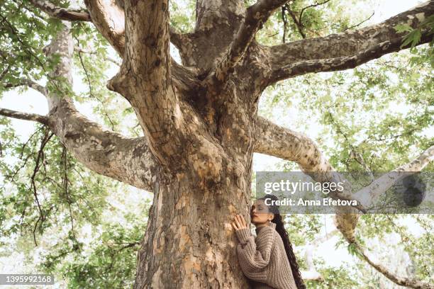 beautiful woman with long curly hair in knitted sweater is embracing large tree with textured bark. concept of unity with nature - giant woman ストックフォトと画像