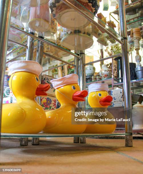 307 Nick Nack Shelf Stock Photos, High-Res Pictures, and Images - Getty ...