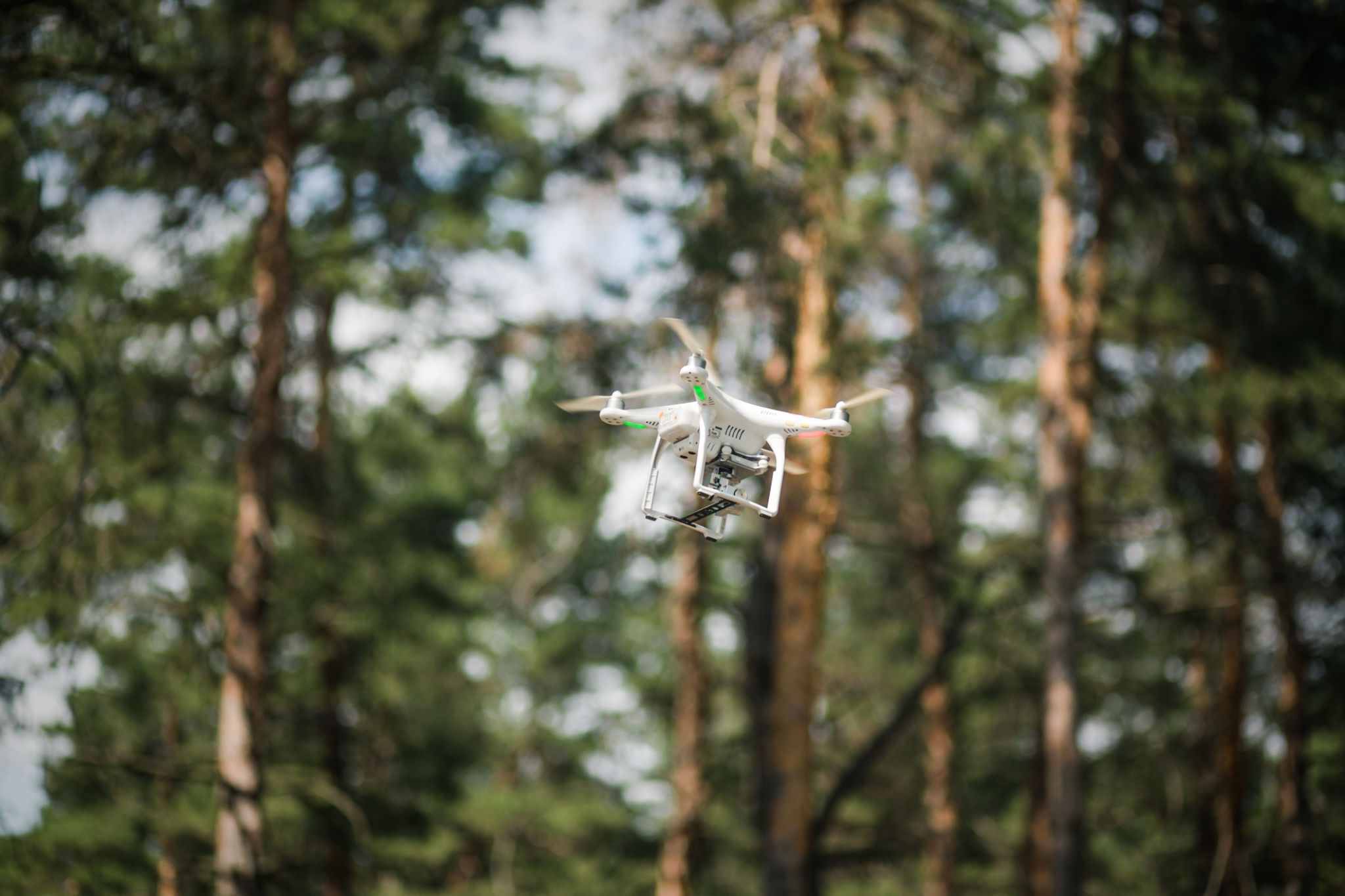 drones forest monitoring