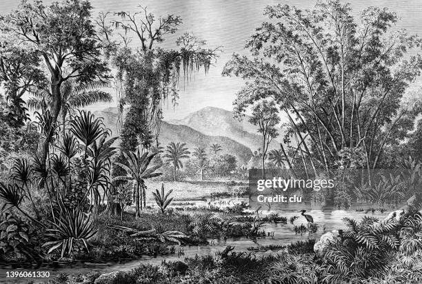 venezuela, san cristobal - engraving pattern stock illustrations