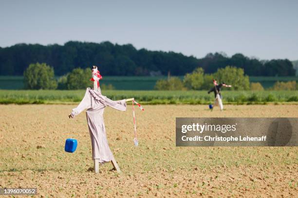 scarecrows in a field in seine et marne, france - scarecrow agricultural equipment stock-fotos und bilder