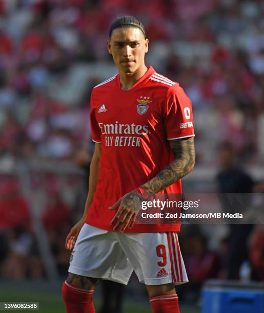 Darwin Nunes of Benfica in action during the Liga Portugal Bwin match between SL Benfica and FC Porto at Estadio da Luz on May 7, 2022 in Lisbon,...