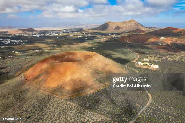 crops between volcanoes around timanfaya on lanzarote - animal extinto fotografías e imágenes de stock