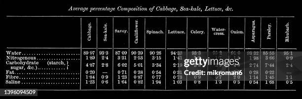 old engraved illustration of table of average percentage composition of cabbage, sea-kale and lettuce - table numbers stock-fotos und bilder