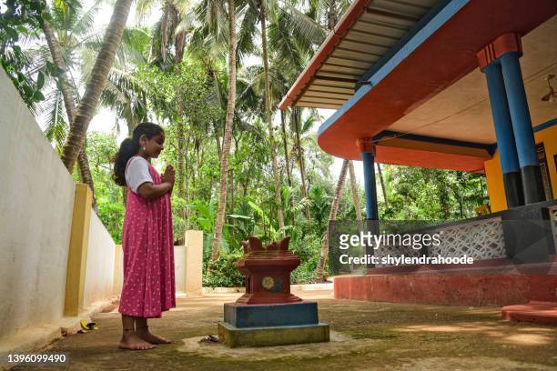 indian little girl offering prayer to holy basil plant - lakshmi puja 個照片及圖片檔