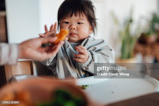 baby girl learning to feed herself with finger foods - feeding fish stock pictures, royalty-free photos & images