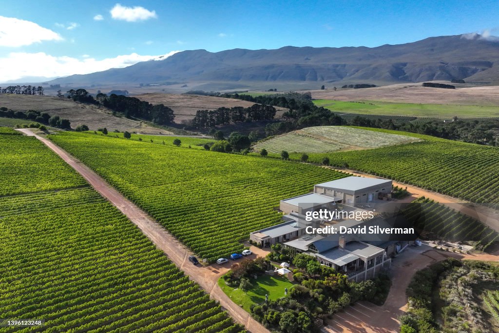 Views Of The Western Cape