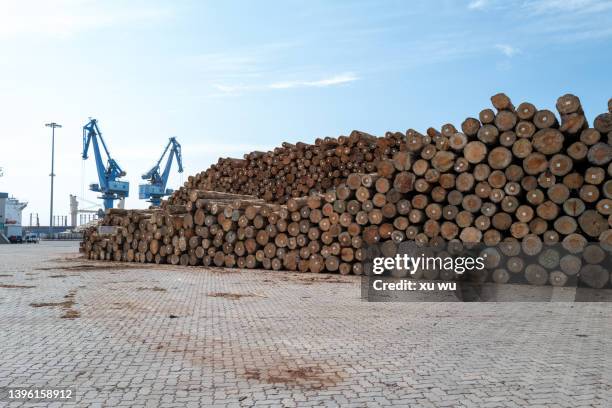 Tree Log Stacking 8,630 Tree Log Stack Stock Photos, High-Res Pictures, and Images ...