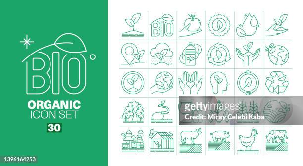 organische liniensymbole set - vegetarian food stock-grafiken, -clipart, -cartoons und -symbole