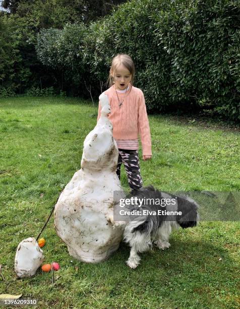 dog urinating on a melting snowman in a back yard on a springtime day watched by a child with a horrified facial expression. - melted snowman stock-fotos und bilder