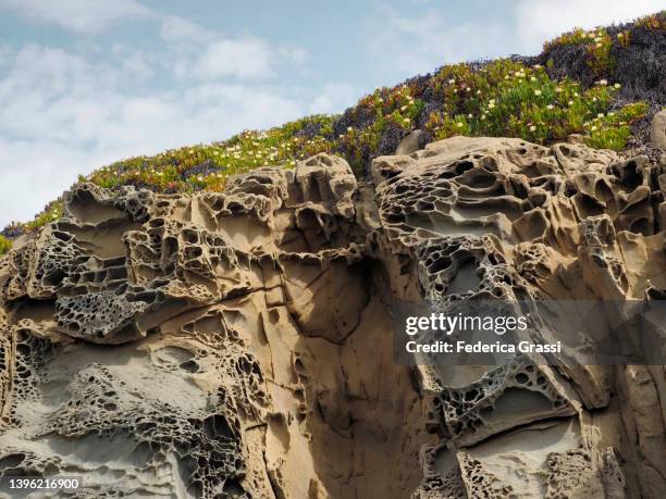 Tafoni Rocks 411 Tafoni Stock Photos, High-Res Pictures, and Images - Getty Images
